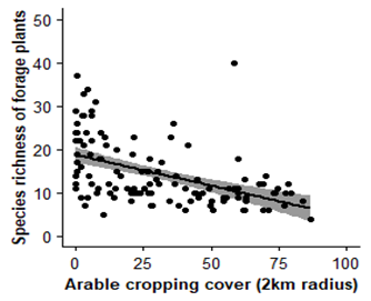 NHMS arable cropping cover