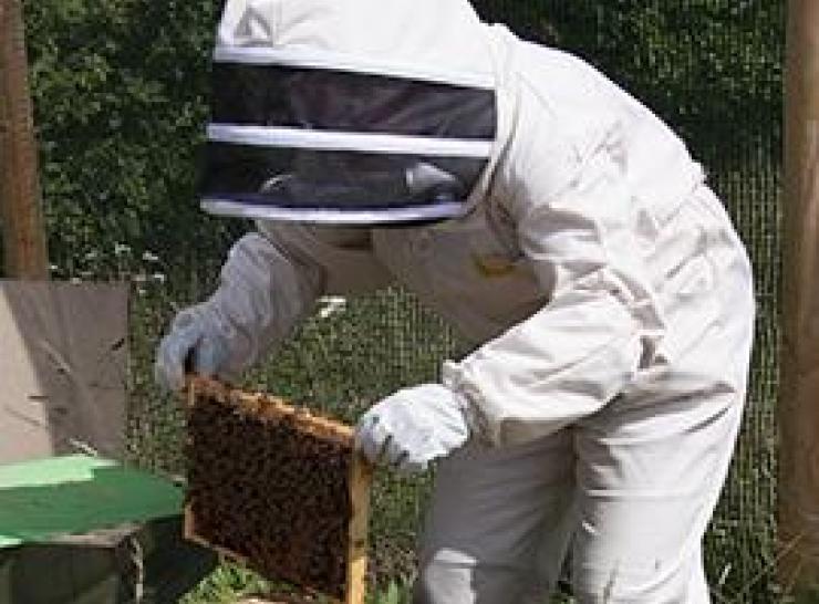 National Honey Monitoring Scheme
